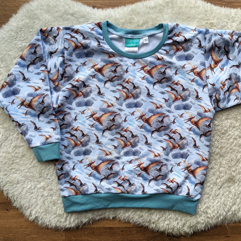 Size 5 Pterodactyl skies lounge jumper