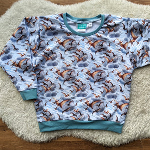 Size 5 Pterodactyl skies lounge jumper