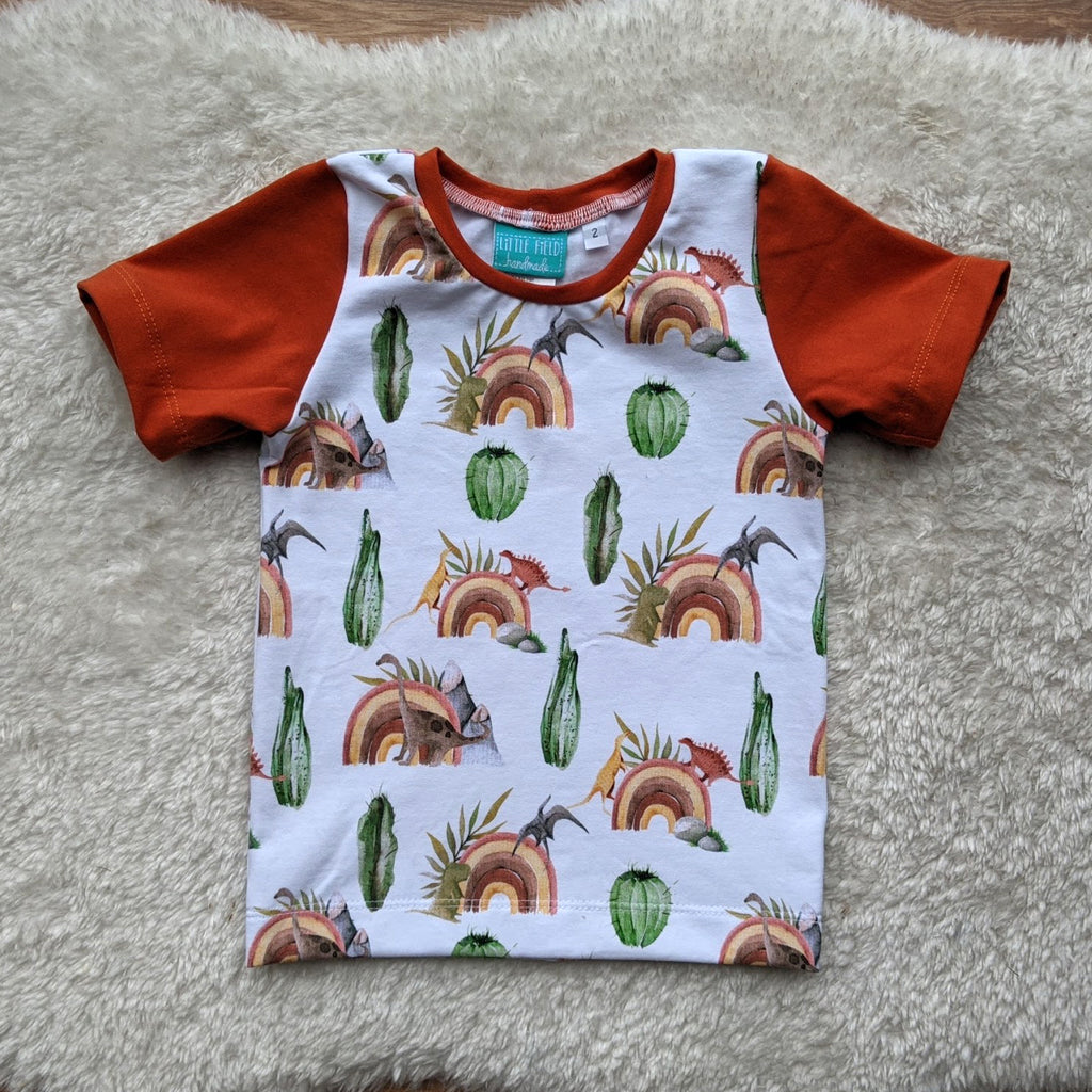 Size 2 Rustic rainbow dinos tshirt