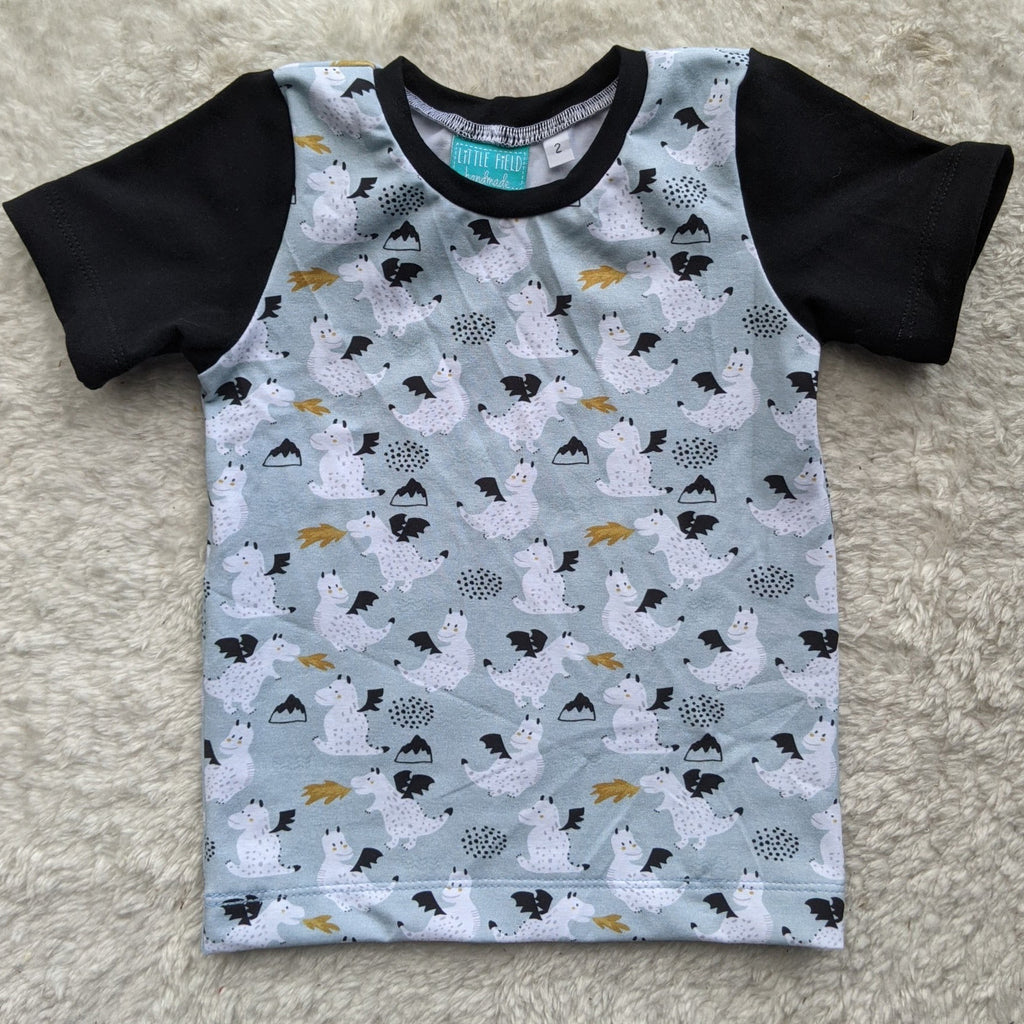 SIZE 2 Baby blue dragons tshirt
